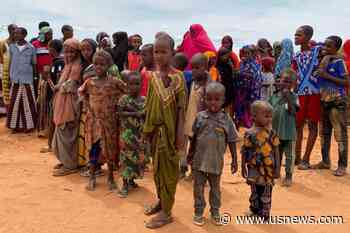 EU Executive Says Aid Payments for Somalia 'Temporarily Suspended'
