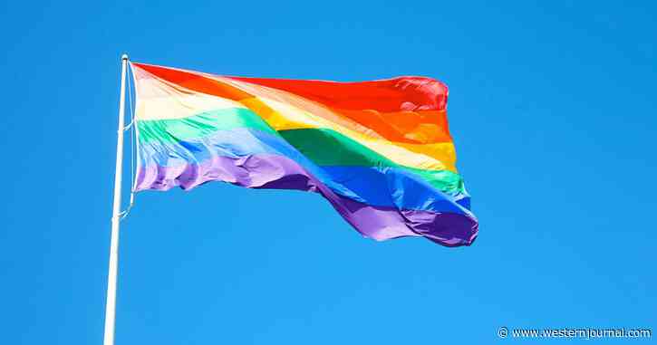 LGBT Leftists Allege Betrayal by All-Muslim City Council After Pride Flag Ban: 'Stabbing Us in the Back'