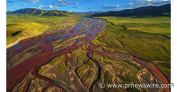 Flora e fauna florescentes são um grande exemplo dos esforços ecológicos de Qinghai