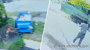 Video shows wild daytime shootout in NW Miami-Dade that left 3 hospitalized