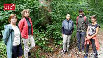 „Haarsträubende Gedankengänge“: Widerstand gegen Baumfällungen im Tautenburger Forst wächst