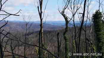 CSIRO says we need to stop 'catastrophic decline' in our natural systems, releases Natural Capital Handbook for Australian businesses