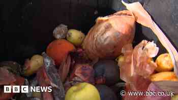 Volunteers collect food waste for composting