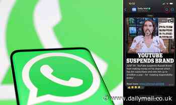 The Mail launches its WhatsApp Channel: How to sign up and receive the latest news directly to the app