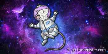 Scientists suggest possible solution to space-induced bone loss