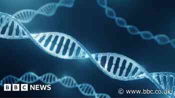 Google DeepMind AI speeds up search for disease genes