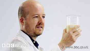 'This could be the holy grail to replace palm oil' - research team