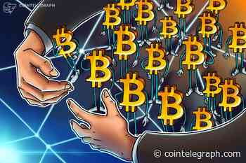 Bitcoiners are stacking 'em up: Inactive BTC supply hits all-time highs
