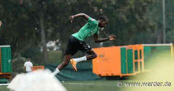 Werder Bremen verpflichtet Cesay nicht