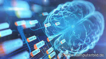 Elon Musk darf Menschen jetzt Chips einpflanzen