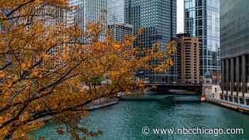 With ‘summer-like' temperatures in Chicago as fall approaches, when will the leaves change color?