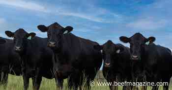 Farm Progress America, September 20, 2023