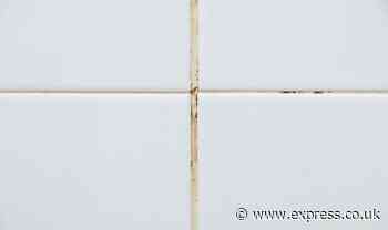 ‘Best grout cleaning combo’ that only takes ‘five minutes’ to remove stubborn stains