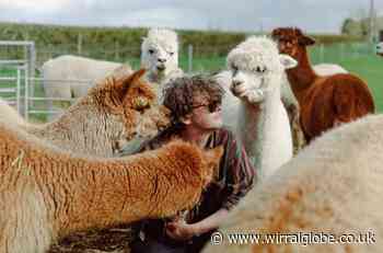 Wirral musician Bill Ryder-Jones returns with new album and tour