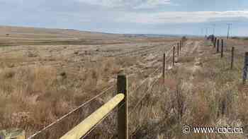 At-risk grasslands near Swift Current, Sask. are now officially protected
