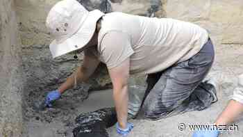 Holz aus der Steinzeit: Archäologen entdecken die älteste Balkenkonstruktion der Menschheitsgeschichte