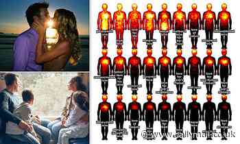 Incredible maps reveal where in the body different types of LOVE are felt - from butterflies in the stomach to tingles in the groin