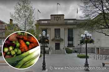 Islington Council's catering praised by the Vegan Society