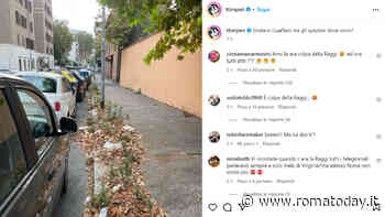 Timperi contro Gualtieri: "Gli spazzini dove sono?"