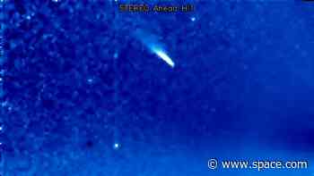 Comet Nishimura photobombs NASA spacecraft after its close encounter with the sun (photos)