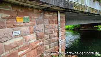 Hochwasser im Jahr 1993: Als die Nagold Wildberg flutete