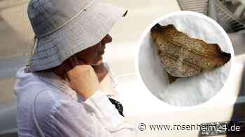 „Mein Ohr blutete“: Video zeigt Arzt, der Insekt aus dem Ohr einer Patientin entfernt