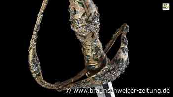 Millionenkauf: Prunkdegen für Anton-Ulrich-Museum Braunschweig