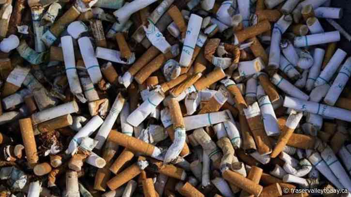 Illegal tobacco growth costing three provinces $2.47 billion in taxes: retail report