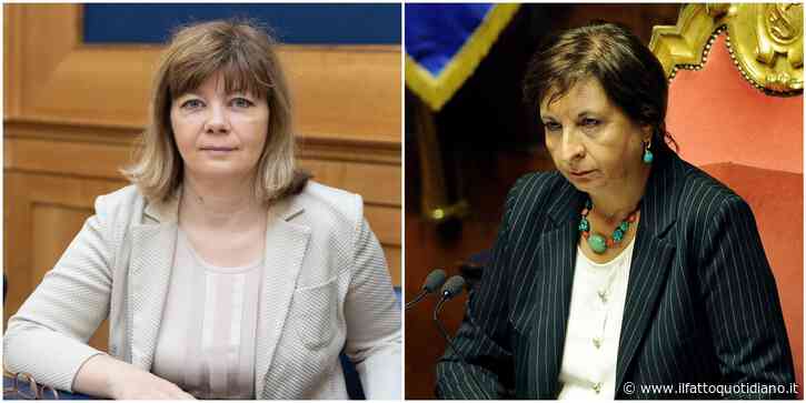 Italia Viva fa campagna acquisti: arrivano la deputata Isabella De Monte (Azione) e l’ex vicepresidente del Senato Di Giorgi (Pd)