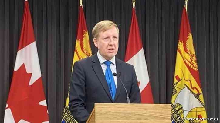 From Centre Ice Conservatives to Canadian Future, a new federal party takes shape