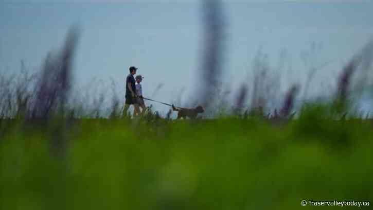 B.C. local governments to ask province for more support over drug decriminalization