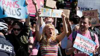 Thousands gather in GTA for protests over gender, sexual identity in school curriculum, 1 arrested