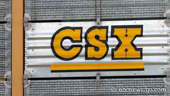 A railroad worker died after being struck by a remote-controlled train. Unions have concerns