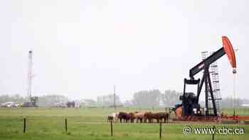 Growing number of forecasts predict oil will reach $100 US this fall