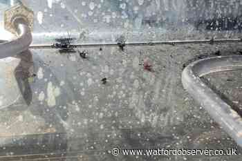 Former Ruislip Kho Kho restaurant manager fined £9k