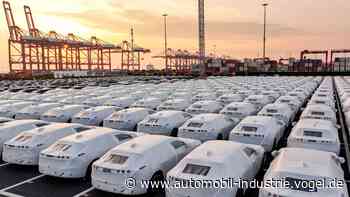 Frankreich will chinesische E-Autos von Kaufprämien ausschließen