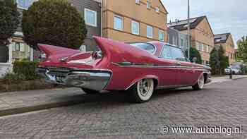 Gespot – Deze Amerikaan fleurt een Hollandse woonwijk lekker op