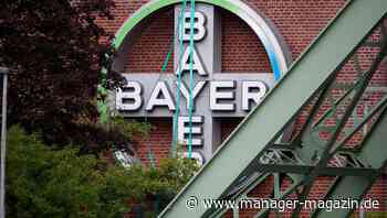 Bayer: Millionen-Investition in Verhütungsmittel-Fabrik in Finnland