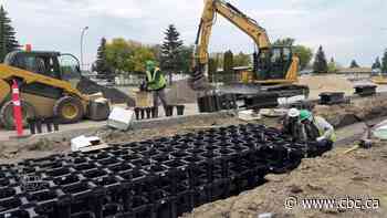 Soil cells support tree growth along Edmonton’s newest LRT route