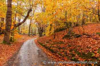 Autumn Equinox: When does Autumn start and what is it?