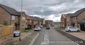 Willow Homes handed breach of conditions notice by Northumberland County Council over Stannington development