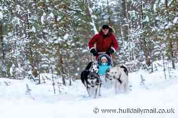 Holiday firm launches day trips to Lapland with reindeer, Santa and 10% off deal