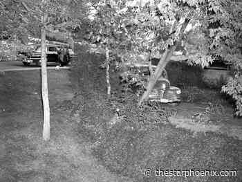 Runaway car stopped by tree in 1950