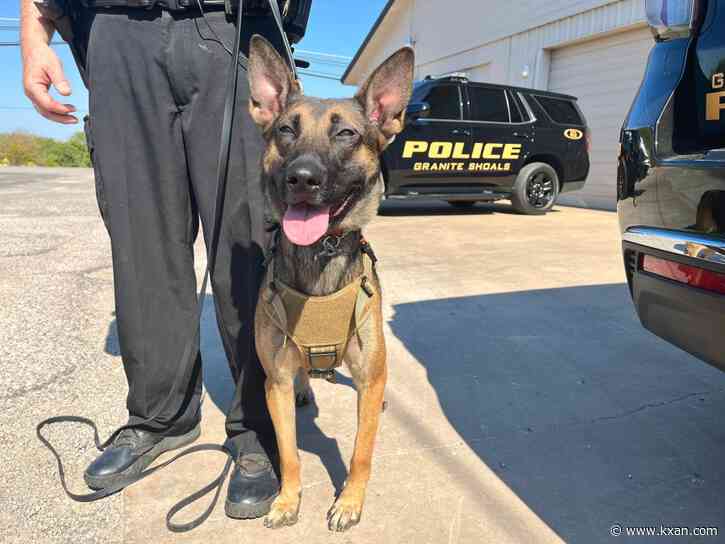 New canine officer cracking crime in Granite Shoals
