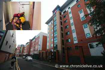 Students warned of fines for false fire alarm call outs at university halls as firefighters reveal number of incidents