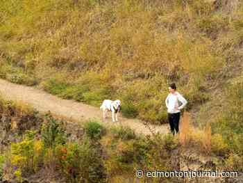 Edmonton weather: Counting down the final days of summer