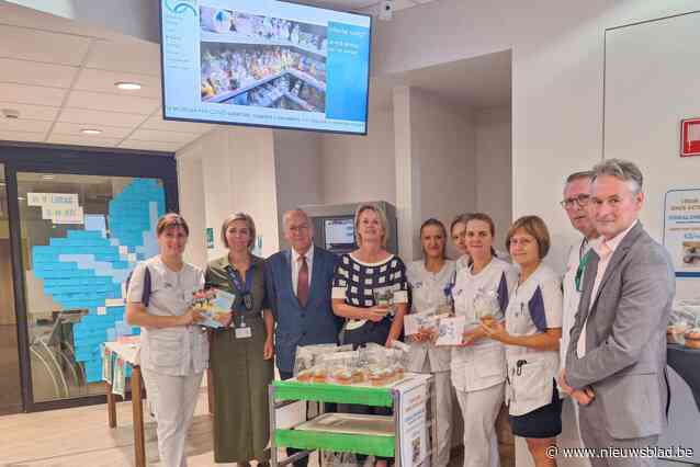 Ziekenhuis verkoopt cupcakes om onderzoek naar Alzheimer te steunen