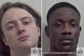 East London men among gang jailed after cannabis farm murder