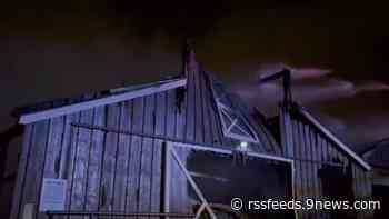 Miniature horses rescued from barn fire in Douglas County