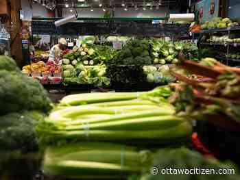 Wudrick: Rising grocery prices — shouldn't government share the blame?